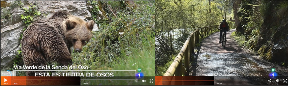 Vía Verde de la Senda del Oso (Asturias)