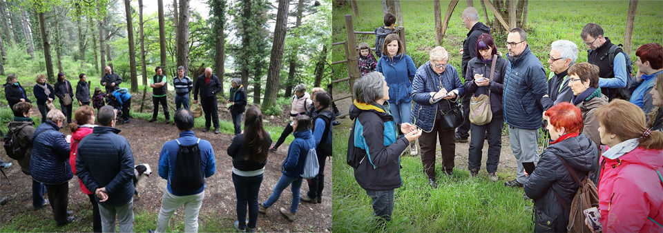 taller gastronómico De la vía verde a la mesa