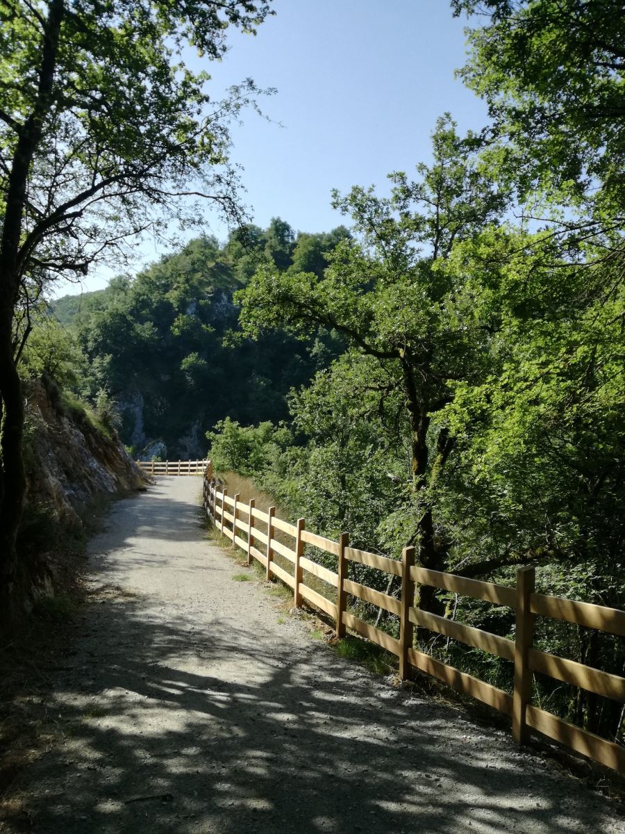 Camino Natural Va Verde del Plazaola
