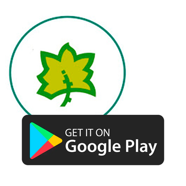 Google Play
