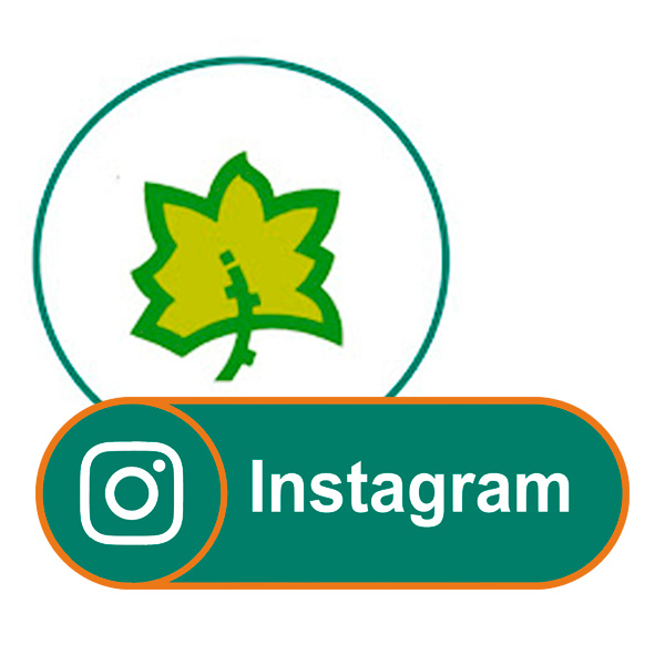 Canal Instagram
