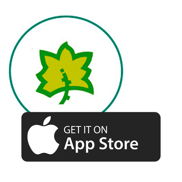 App Store
