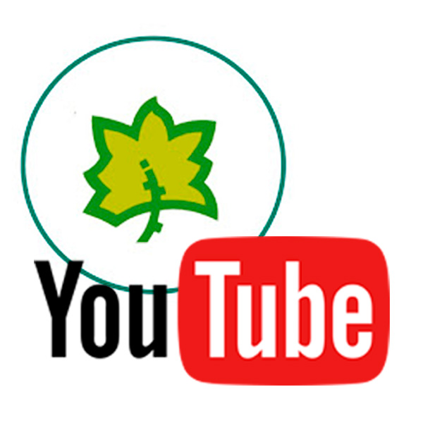 Canal Youtube