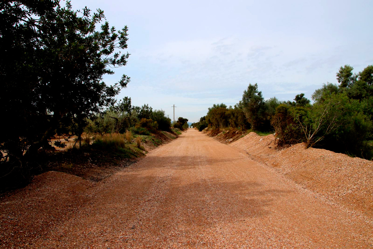 Vía Verde del Delta de l´Ebre (tramo L´Aldea). Tarragona – Cataluña