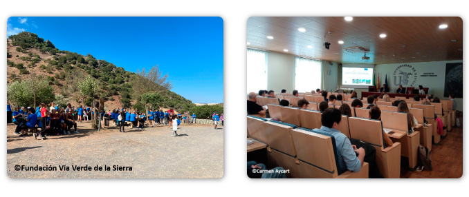 Las más culturales y pedagógicas