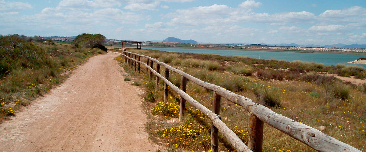 Vía Verde de Torrevieja