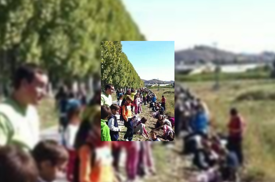 Plantación de árboles en las Vías Verdes del Noroeste (Murcia) y Móstoles (Madrid)