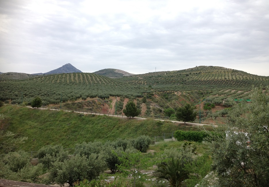 Plazo abierto de presentación de ofertas de prácticas para el Programa Campus Rural 2026. Un buen Destino: Vías Verdes