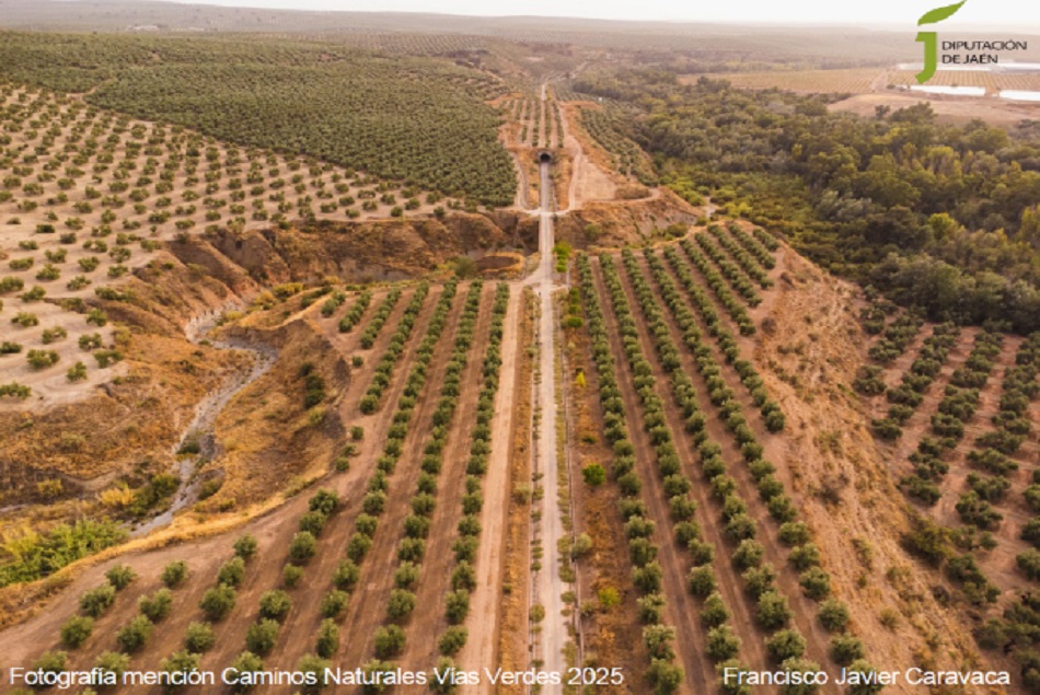 Concursos de fotografía abiertos. Presenta tu instantánea