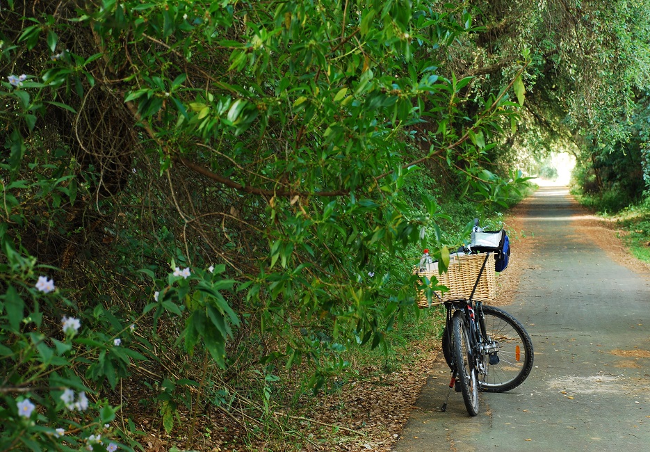 Finaliza la rehabilitación del Camino Natural Vía Verde Molinos de Agua, en Huelva