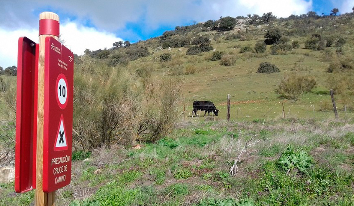 Acondicionamiento de un nuevo tramo del Camino Natural Vía Verde Ruta de la Plata a su paso por Salamanca