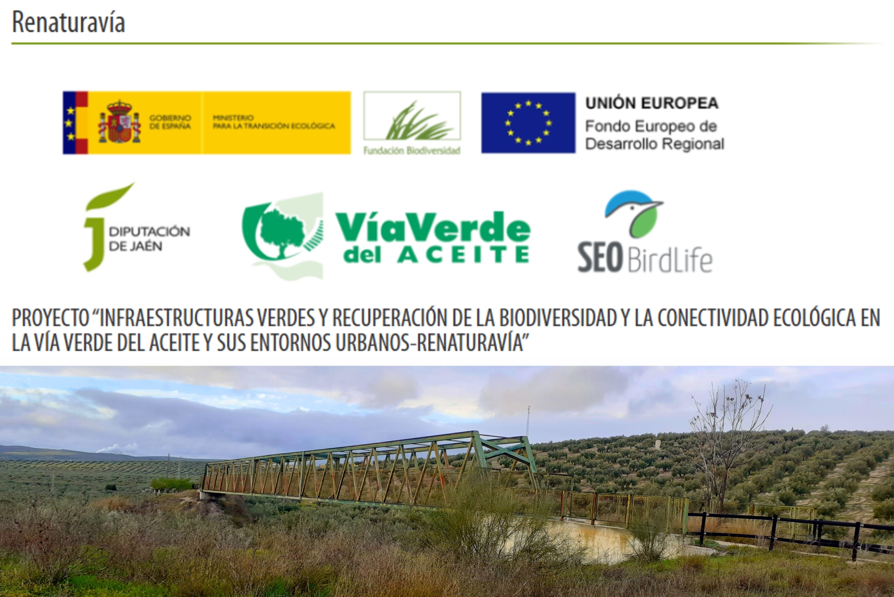 Mejora ambiental del Camino Natural Vía Verde del Aceite con el proyecto Renaturavía
