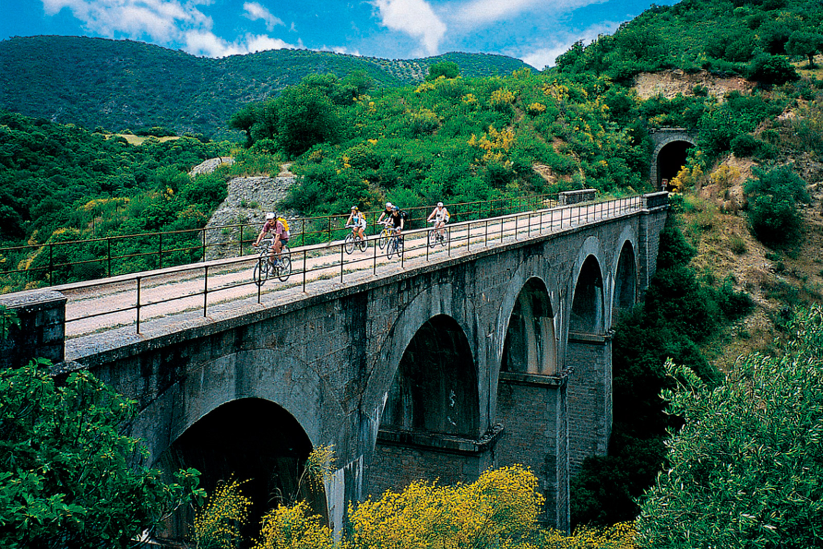 Galería de imágenes